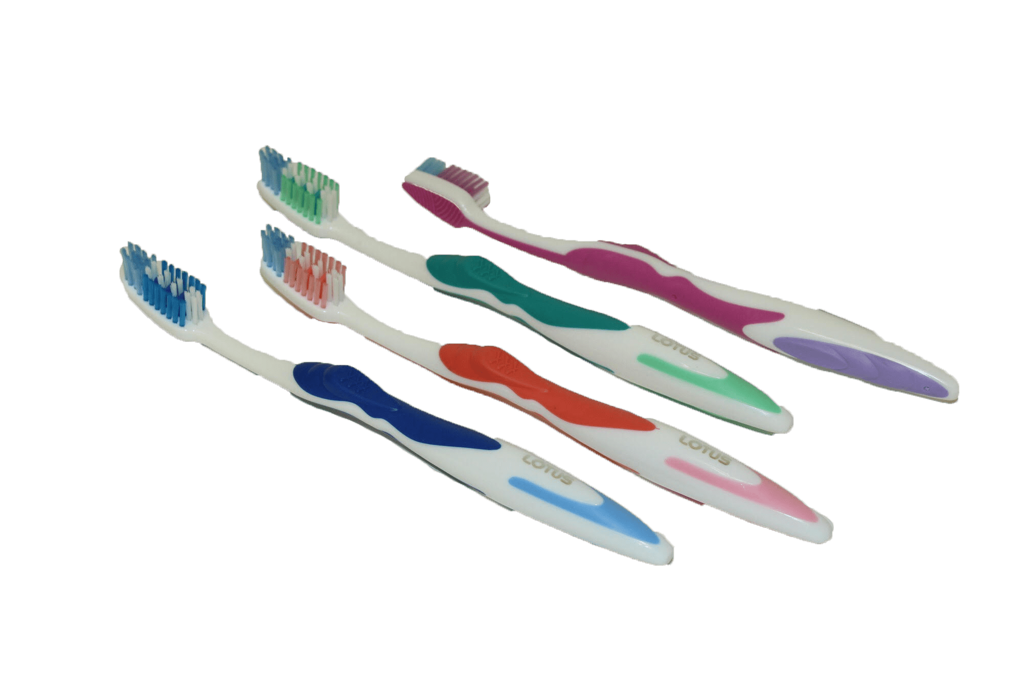Designer Adults and Children Tooth Brushes